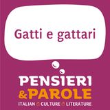 159_Gatti e gattari
