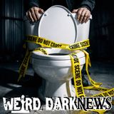 THE MAN, THE PLAN, THE CAN | Japan's Toilet Thief Used The Commode In His House! Eww!