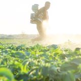 Steve Field, Chemical Standards Officer for Agriculture Victoria on managing the risk of Spray Drift