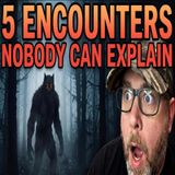 5 Dogman Encounters Nobody Can Explain