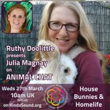 House Bunnies & Home Life | Julia Magnay on Animal Chat with Ruthy Doolittle