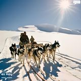 La carrera al Polo Sur