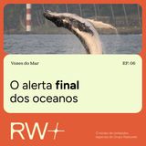Vozes do Mar: oceano pede socorro diante da pressão humana