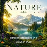Through Broadland in a Breydon Punt - Arthur Henry Patterson