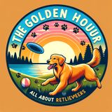 The Retriever's Golden Hour: A Timeless Bond with Nature