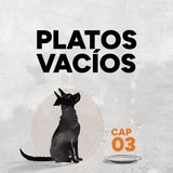 Luna y la Expedición Sobre Ruedas