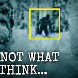 The Dyatlov Pass Mystery: The Scientific Explanation Behind the 9 Deaths | True Crime