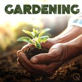 The Dirt on Building Better Soil