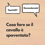 Come comportarsi con un cavallo spaventato?