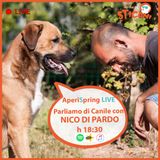 #09 Intervista a NICO DI PARDO - Parliamo di CANILE  AperiSpring LIVE