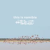 The Pan's Pink Pilgrimage: Flamingos of Etosha National Park