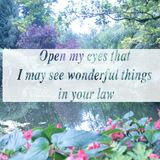 Open my eyes that I may see wonderful things in your law.