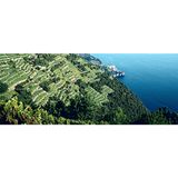 Cinque Terre e Sciacchetrà (Liguria)