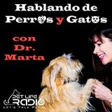 Hablando de Perros y Gatos - Episodio 2 Animales Fashionistas