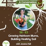 S6 - E3: Growing Heirloom Mums, Building Healthy Soil with Jessica Hall of Harmony Harvest Farm, Pt. II