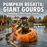 Pumpkin Regatta: Giant Gourds - Ride the waves with Oly Bennet