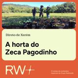 Além do samba: horta de Zeca Pagodinho apoia famílias em Xerém
