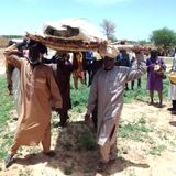 Culture, environnement et vie quotidienne dans Le Niger sur Kalangou