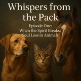 Whispers from the Pack, Episode 1 When the Spirit Breaks-Soul Loss in Animals