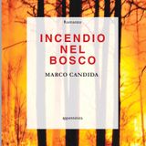Marco Candida "Incendio nel bosco"