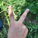 Episode 5 - Die Verabschiedung Tschüss