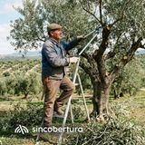 El momento óptimo para la poda