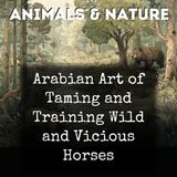 018 - Trade Glance at the most celebrated Breeding Districts Speed and Bottom of the Percheron Horse Tests