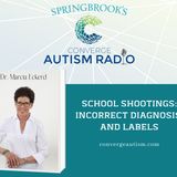 School Shootings: Wrong Diagnosis and Labels