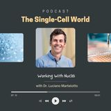 Ep. 13: Working With Nuclei