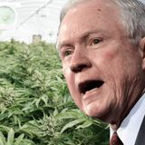 The Sessions Marijuana Enforcement Deception