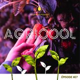 #27 Agricool
