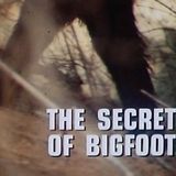 S04E33 - BigFootage: The Secret of Bigfoot pt 2