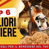 # 144 - 6 lettiere diverse – Quale scegli per il tuo cavallo