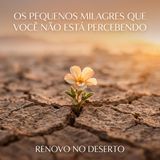 Os Pequenos Milagres que Você Não ver: Enxergando Deus no Cotidiano