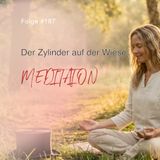 Der Zylinder auf der Wiese | ca. 25 Min | Folge 187