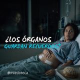 Le Trasplantaron un Riñón y Empezó a Recordar la Vida de la Donante | 3002