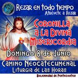 CORONILLA A LA DIVINA MISERICORDIA DE HOY DOMINGO 8 DE JUNIO 2025. 🙏 REZAR EN TODO TIEMPO