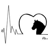 Odc.127 Jak serce i rozum przepełnia energia wdzięczności?