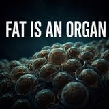 The Quiet Life of Body Fat _ Calming Facts to Drift Off To