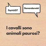 I cavalli sono animali paurosi?