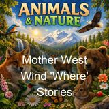Mother West Wind 'Where' Stories - Thornton W Burgess