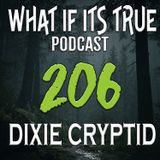 Archive 206 Bigfoot Encounters