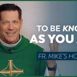 _In The Light_ _ 33rd Sunday in Ordinary Time (Fr. Mike_s Homily) _sundayhomily)