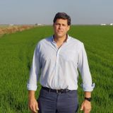 Entrevistas de Perfil: Eduardo Vera de la Federación de Arroceros de Sevilla