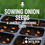 🎧 🧅 Sowing Onion Seeds: A January Gardening Guide 🌱