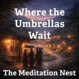 Peaceful Bedtime Story for Adults | Where the Umbrellas Wait