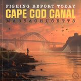 Fall Frenzy on the Cape Cod Canal: Stripers, Hardtails, and Trophy Tog Fuel the Autumn Bite