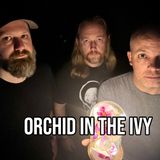 Creator to Creators S7 Ep 44 ORCHID IN THE IVY