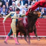 Al Alimón: Daniel Luque corta oreja pero necesita más toro