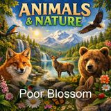 Poor Blossom - Edith Carrington